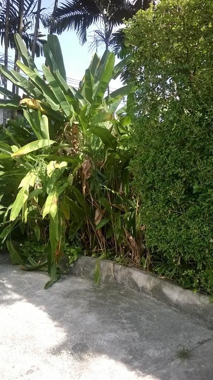 منتجع بانتونساي جاردن Patong المظهر الخارجي الصورة